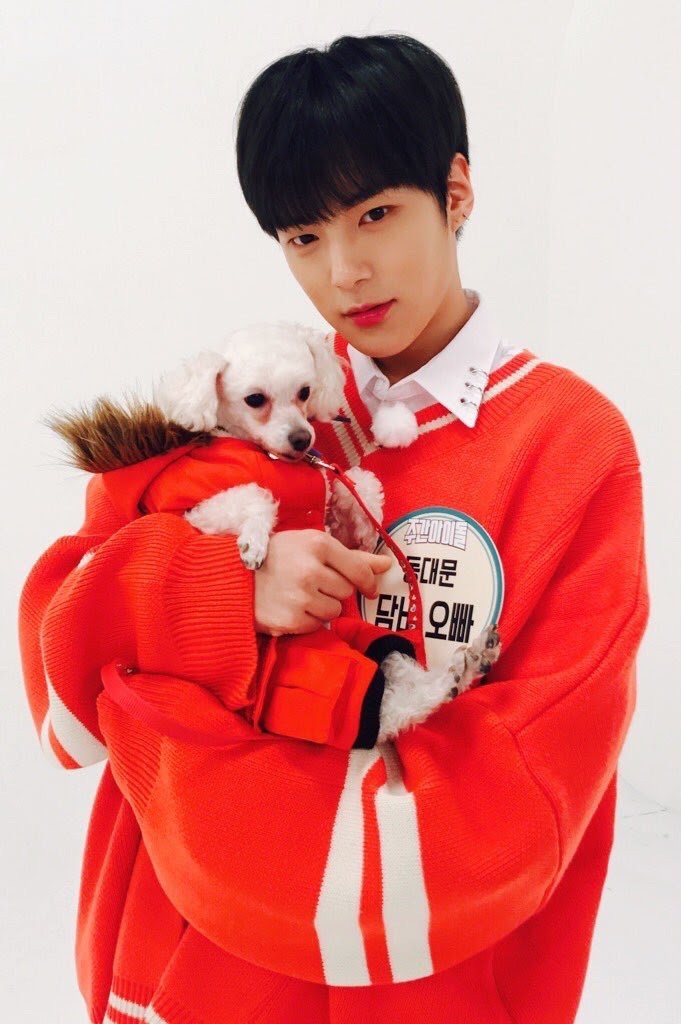 MONSTA X公式ドール ミニミニMEONGKO ミニョクぬいぐるみ セット monsta x ミニョク ぬいぐるみセット MONSTA X ミニョク MEONGKO