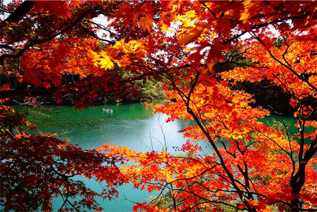 f:id:xshinya:20201107154758j:image f:id:xshinya:20201107154758j:image