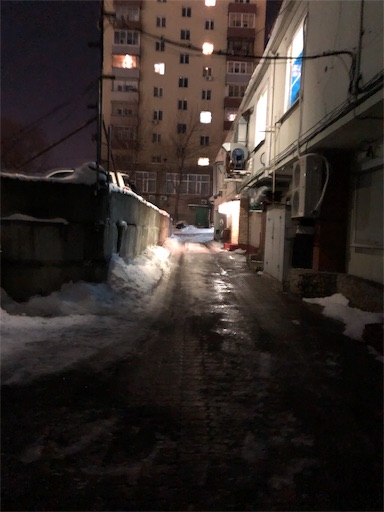 f:id:xshu:20200324194355j:plain f:id:xshu:20200324194355j:plain