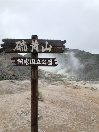 f:id:xshu:20200908145159j:plain f:id:xshu:20200908145159j:plain