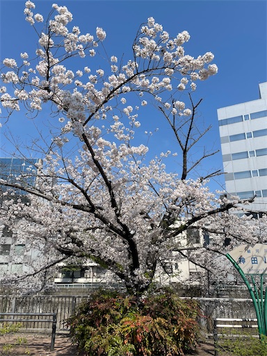f:id:xshu:20210506182433j:plain