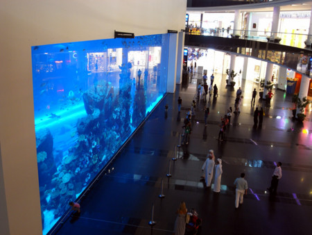 f:id:xsw23edc:20100724015050j:image