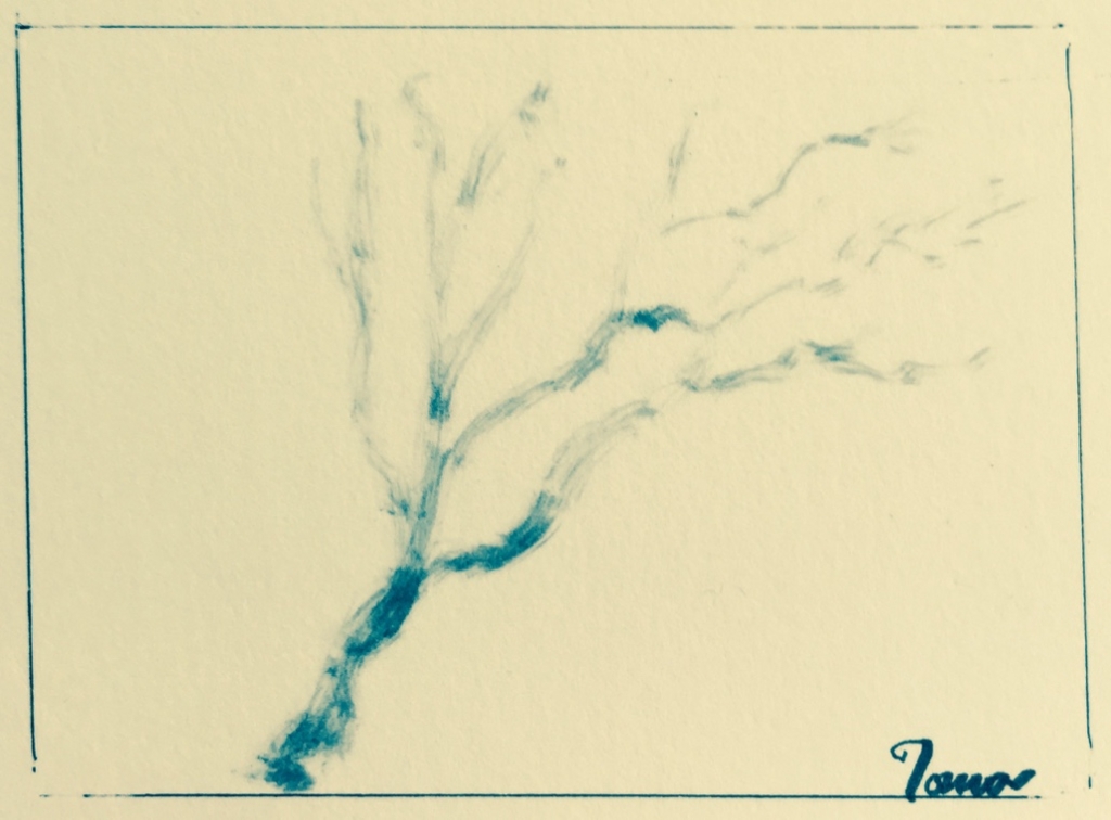 f:id:xtomohiro:20161120103846j:plain f:id:xtomohiro:20161120103846j:plain