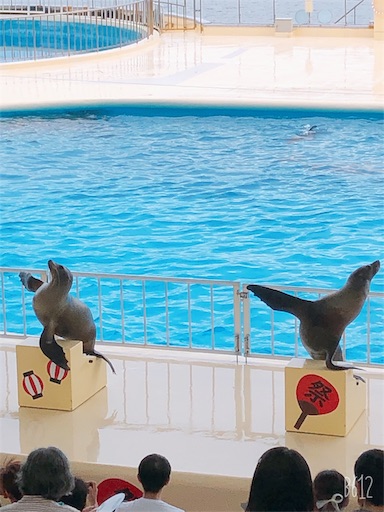 f:id:xtomomo:20190812104302j:image:w300 f:id:xtomomo:20190812104302j:image:w300