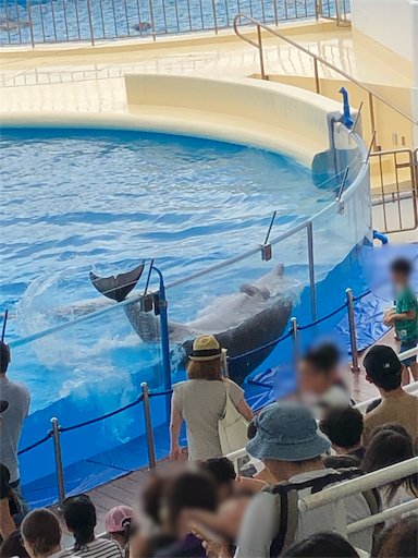 f:id:xtomomo:20190812105856p:image:w300 f:id:xtomomo:20190812105856p:image:w300