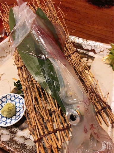 f:id:xtomomo:20190812131504j:image:w300 f:id:xtomomo:20190812131504j:image:w300
