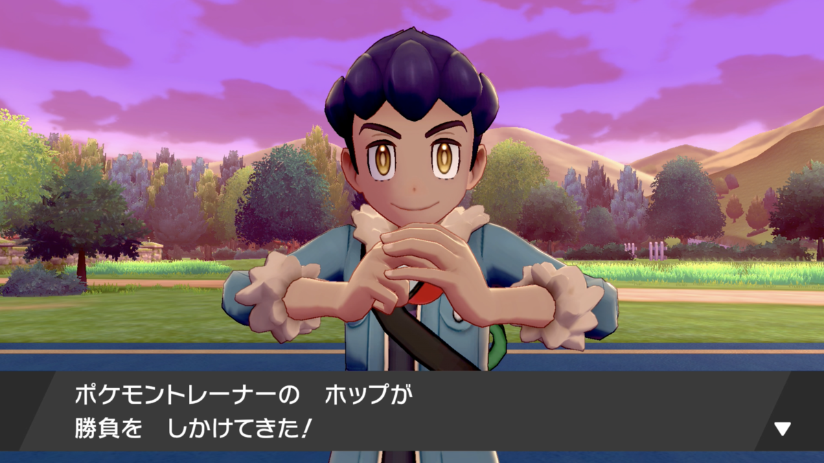 ワンパチ2匹購入 経験値縛り攻略を目指す 01 ポケモン剣盾 へたっぴゲームブログ