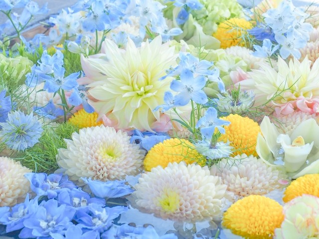 f:id:xun-dfsp:20260523092240j:image