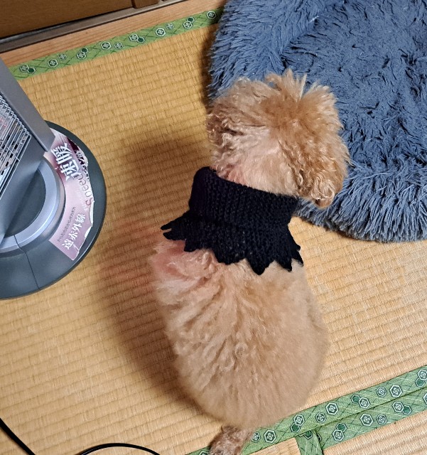 f:id:xuse:20241129110112j:image