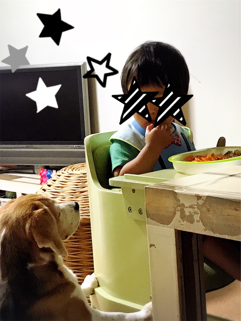 f:id:xusii:20190709231717j:image f:id:xusii:20190709231717j:image