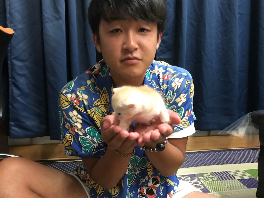 f:id:xx_genki_xx:20190723220150j:image