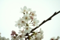 20100401145601