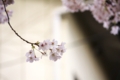 20100401145626