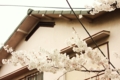 20100401150058