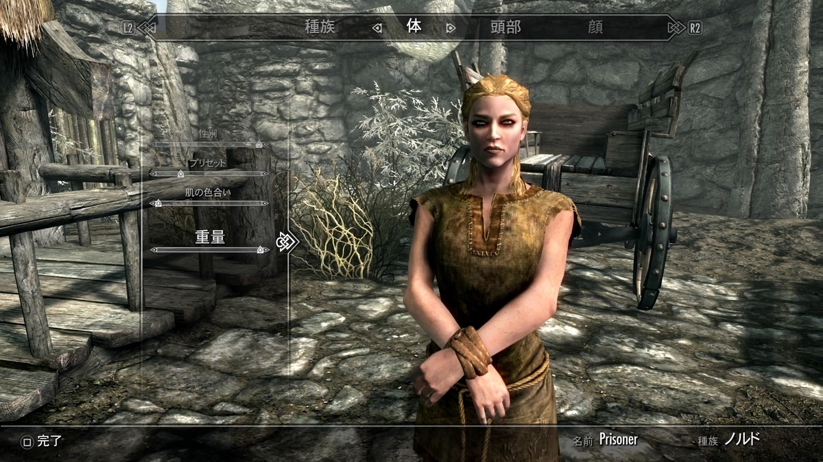 The Elder Scrolls V Skyrim プレイ日記 1 脳筋輸送中 ちゃんまるがゆく 脳筋ぼっちゲーマーの実家