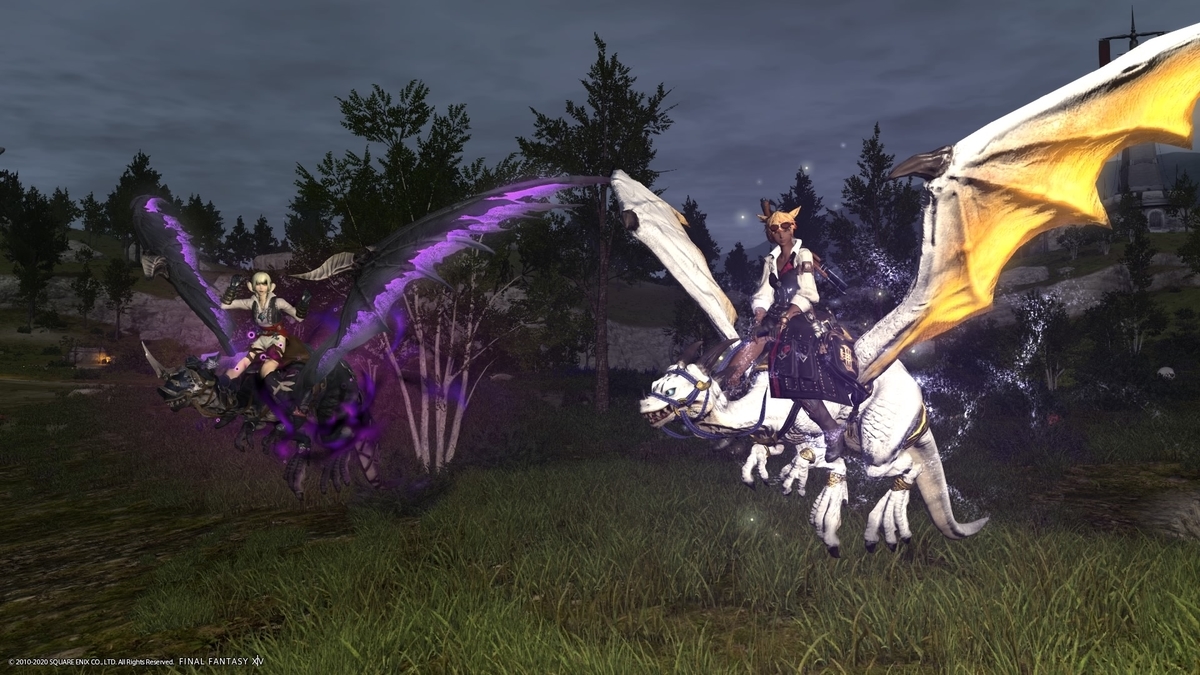 f:id:xxhasxx:20201108155907j:plain