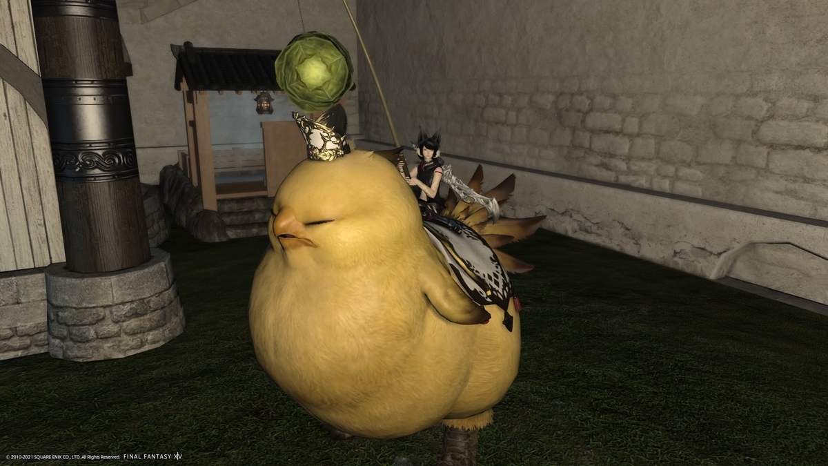 f:id:xxhasxx:20211107195106j:plain