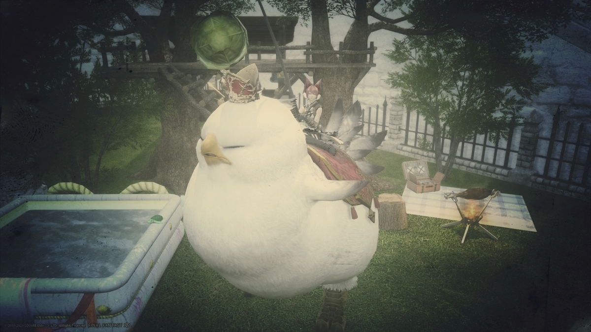 f:id:xxhasxx:20211110143208j:plain