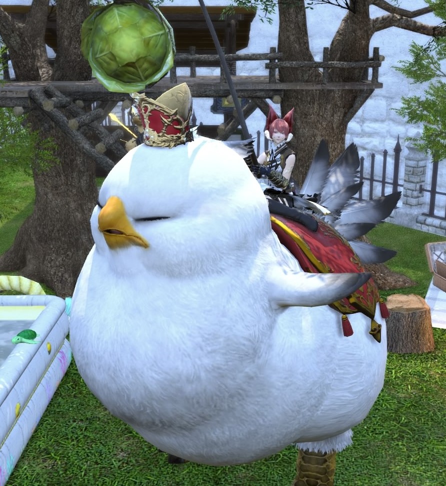 f:id:xxhasxx:20211110143609j:plain