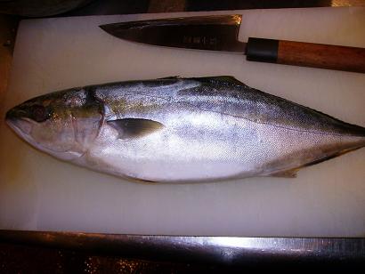 寒魚 岸本食堂のブログ 公式