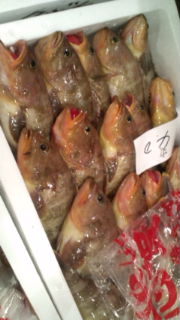 イメージ 5
