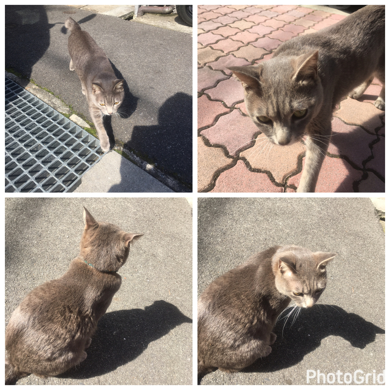 イメージ 6