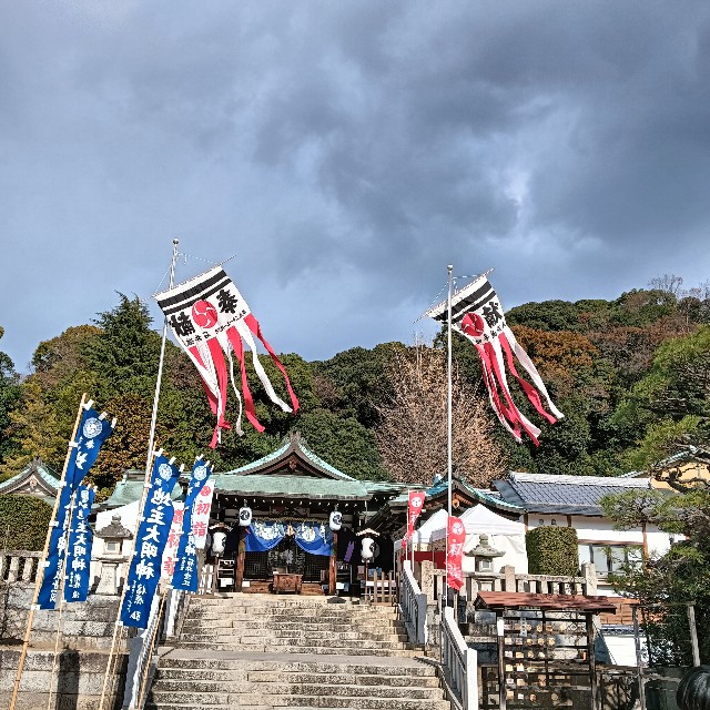 f:id:xxhdq705:20241229072955j:image