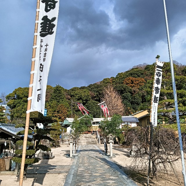 f:id:xxhdq705:20241229073000j:image
