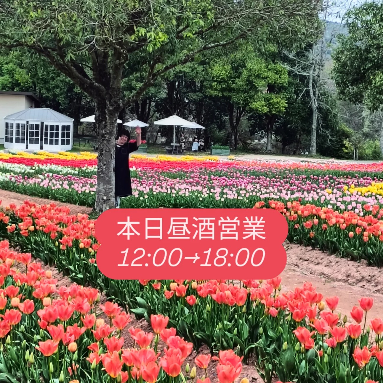 f:id:xxhdq705:20260426082727j:image f:id:xxhdq705:20260426082727j:image