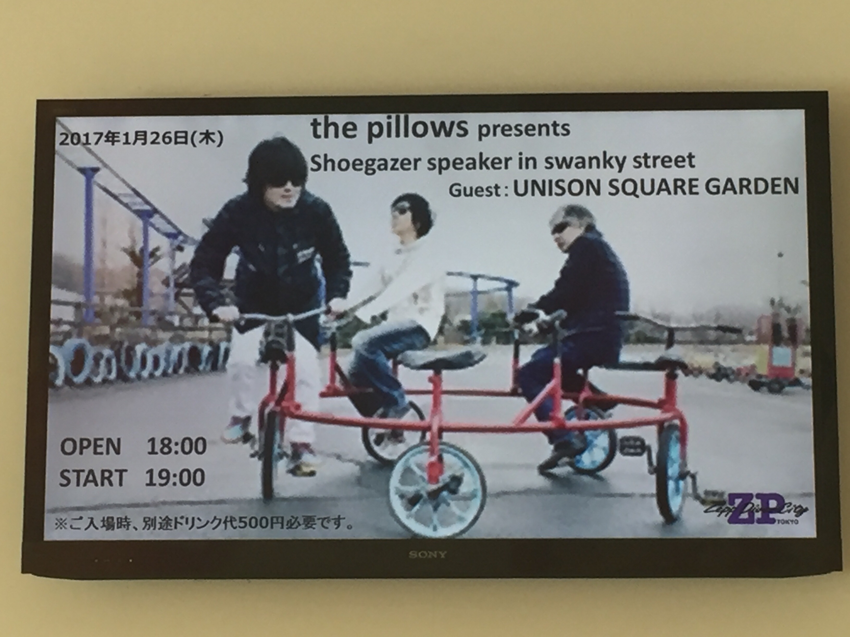 the pillows GAZELLE CITY ガゼルシティ the pillows GAZELLE CITY ガゼルシティ - メルカリ