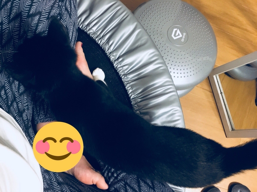 f:id:xxkinxx:20180609105316j:plain f:id:xxkinxx:20180609105316j:plain