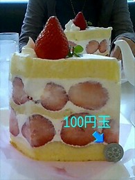 f:id:xxkyrixx:20070304122852j:image f:id:xxkyrixx:20070304122852j:image