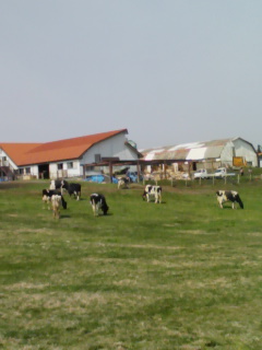 f:id:xxkyrixx:20080323103902j:image f:id:xxkyrixx:20080323103902j:image