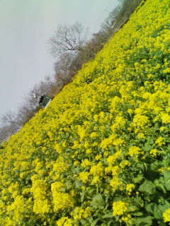 f:id:xxkyrixx:20080323110008j:image f:id:xxkyrixx:20080323110008j:image