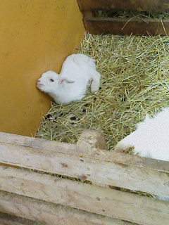 f:id:xxkyrixx:20080323113622j:image f:id:xxkyrixx:20080323113622j:image