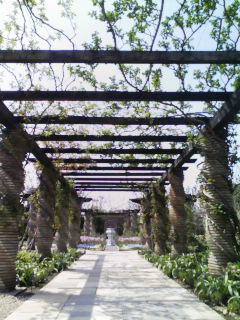 f:id:xxkyrixx:20080412124038j:image f:id:xxkyrixx:20080412124038j:image
