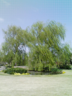 f:id:xxkyrixx:20080412124416j:image f:id:xxkyrixx:20080412124416j:image