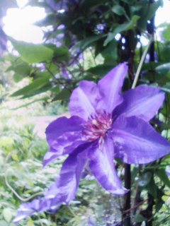 f:id:xxkyrixx:20080511131711j:image f:id:xxkyrixx:20080511131711j:image