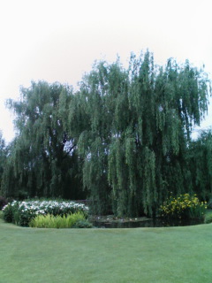 f:id:xxkyrixx:20080511150902j:image f:id:xxkyrixx:20080511150902j:image