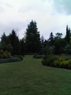f:id:xxkyrixx:20080511151237j:image f:id:xxkyrixx:20080511151237j:image