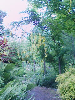 f:id:xxkyrixx:20080511152230j:image f:id:xxkyrixx:20080511152230j:image