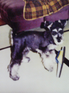 f:id:xxkyrixx:20080614220921j:image f:id:xxkyrixx:20080614220921j:image