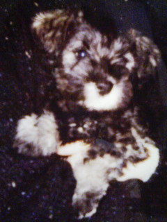 f:id:xxkyrixx:20080614223515j:image f:id:xxkyrixx:20080614223515j:image
