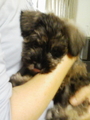 20080621162508