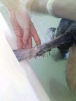 f:id:xxkyrixx:20090103120459j:image f:id:xxkyrixx:20090103120459j:image