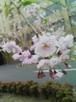 f:id:xxkyrixx:20090405160551j:image f:id:xxkyrixx:20090405160551j:image