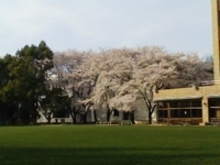f:id:xxkyrixx:20090405160917j:image f:id:xxkyrixx:20090405160917j:image