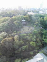 f:id:xxkyrixx:20090419164331j:image f:id:xxkyrixx:20090419164331j:image