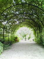 f:id:xxkyrixx:20090707105713j:image f:id:xxkyrixx:20090707105713j:image