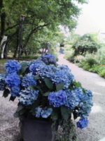 f:id:xxkyrixx:20090707125517j:image f:id:xxkyrixx:20090707125517j:image